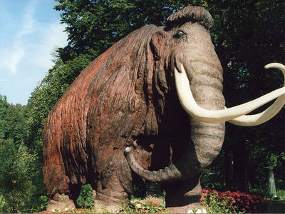 Mammutmuseum Siegsdorf von Naturkunde- und Mammut-Museum Siegsdorf (Naturkunde- und Mammut-Museum Siegsdorf) [CC BY-SA 3.0 de (http://creativecommons.org/licenses/by-sa/3.0/de/deed.en)], via Wikimedia Commons